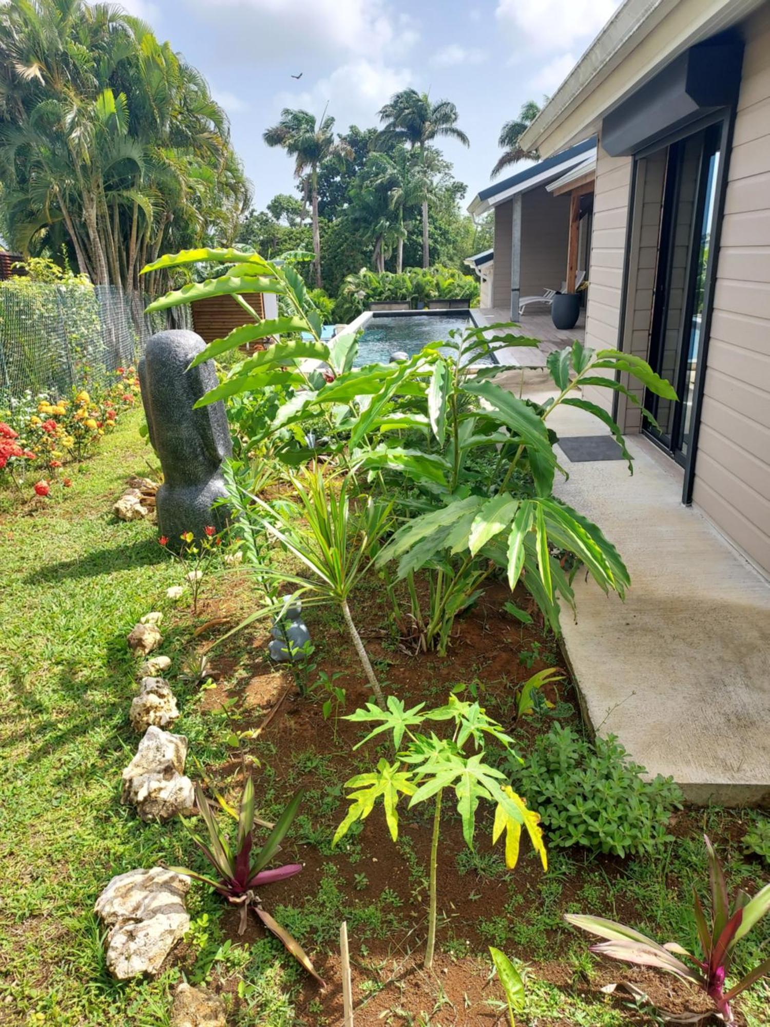 Le Petit Paradis Sainte-Rose Exterior foto