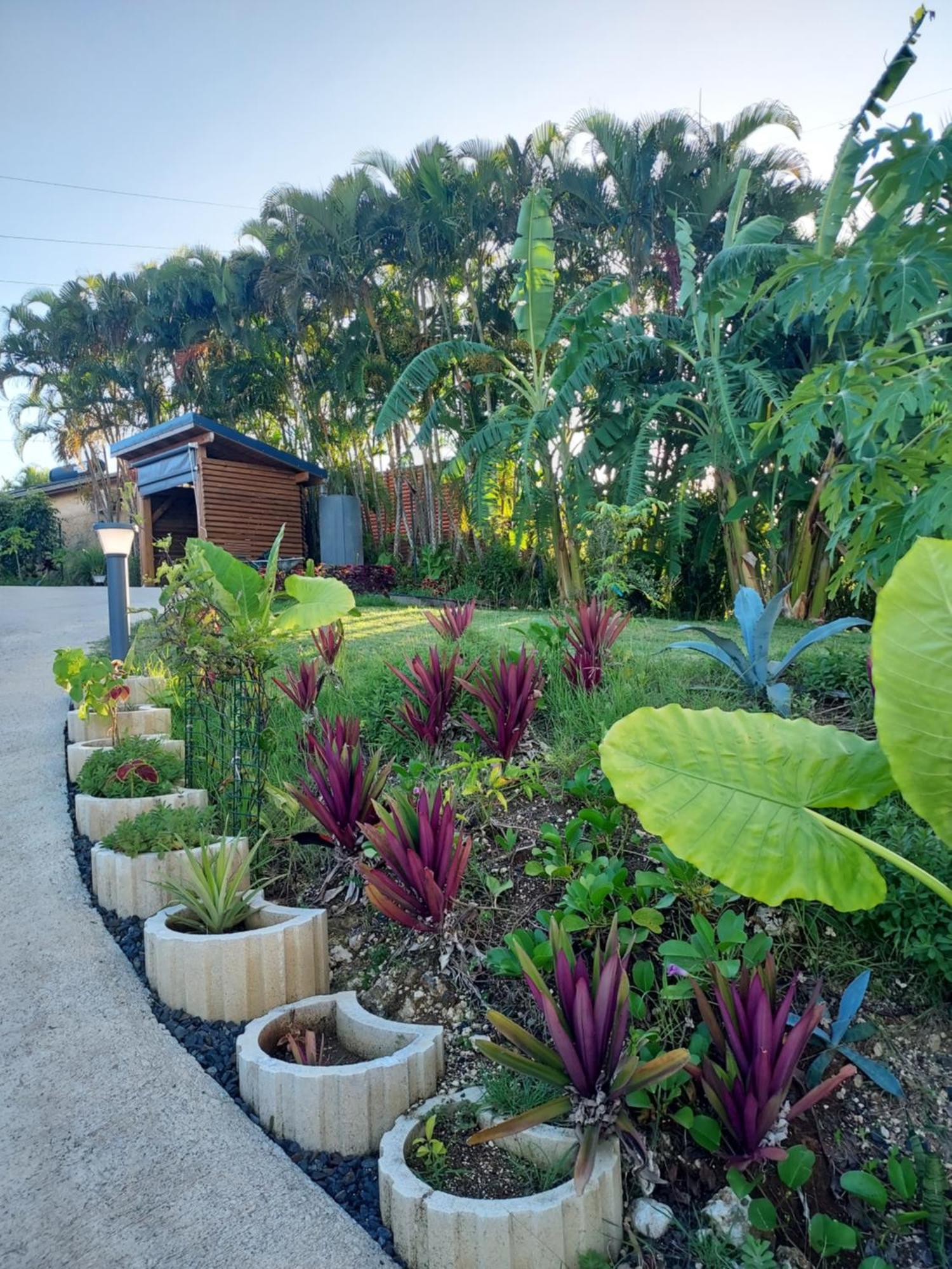 Le Petit Paradis Sainte-Rose Exterior foto